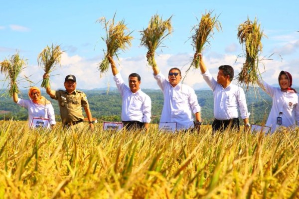 LAPORAN KEUANGAN BBPP BINUANG TRIWULAN II 2023 gfdhllh